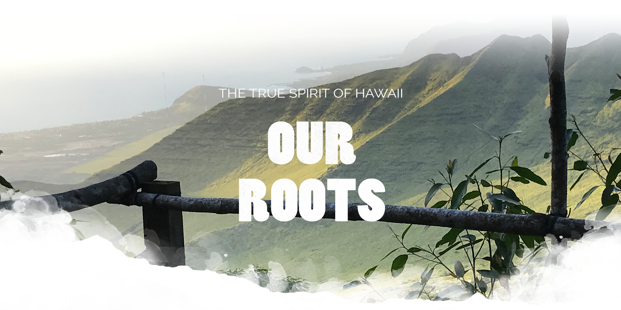 makana wild header image of hawaii mountains with text the true spirit of hawaii our roots