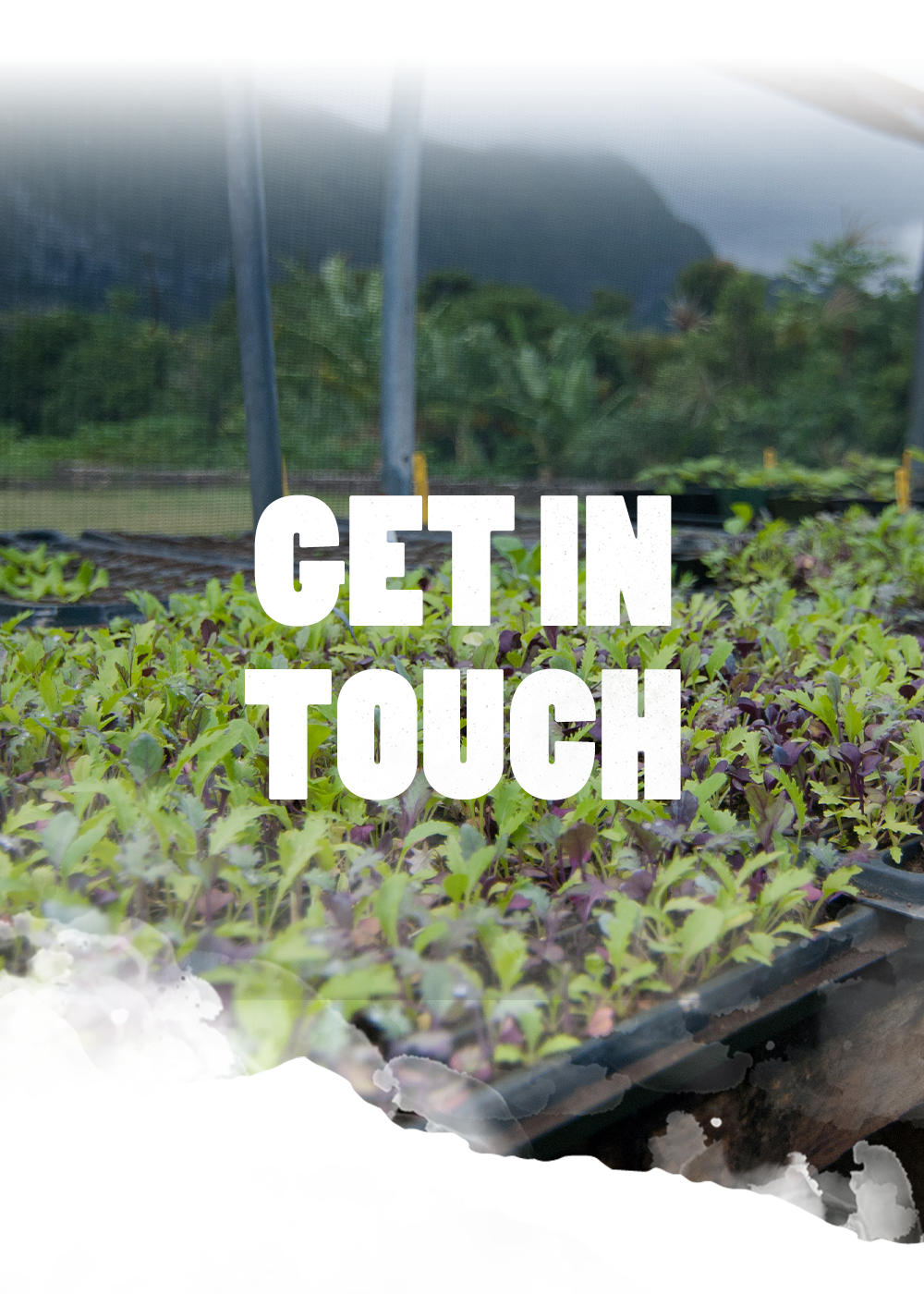 makana wild hawaii garden with text overlay get in touch