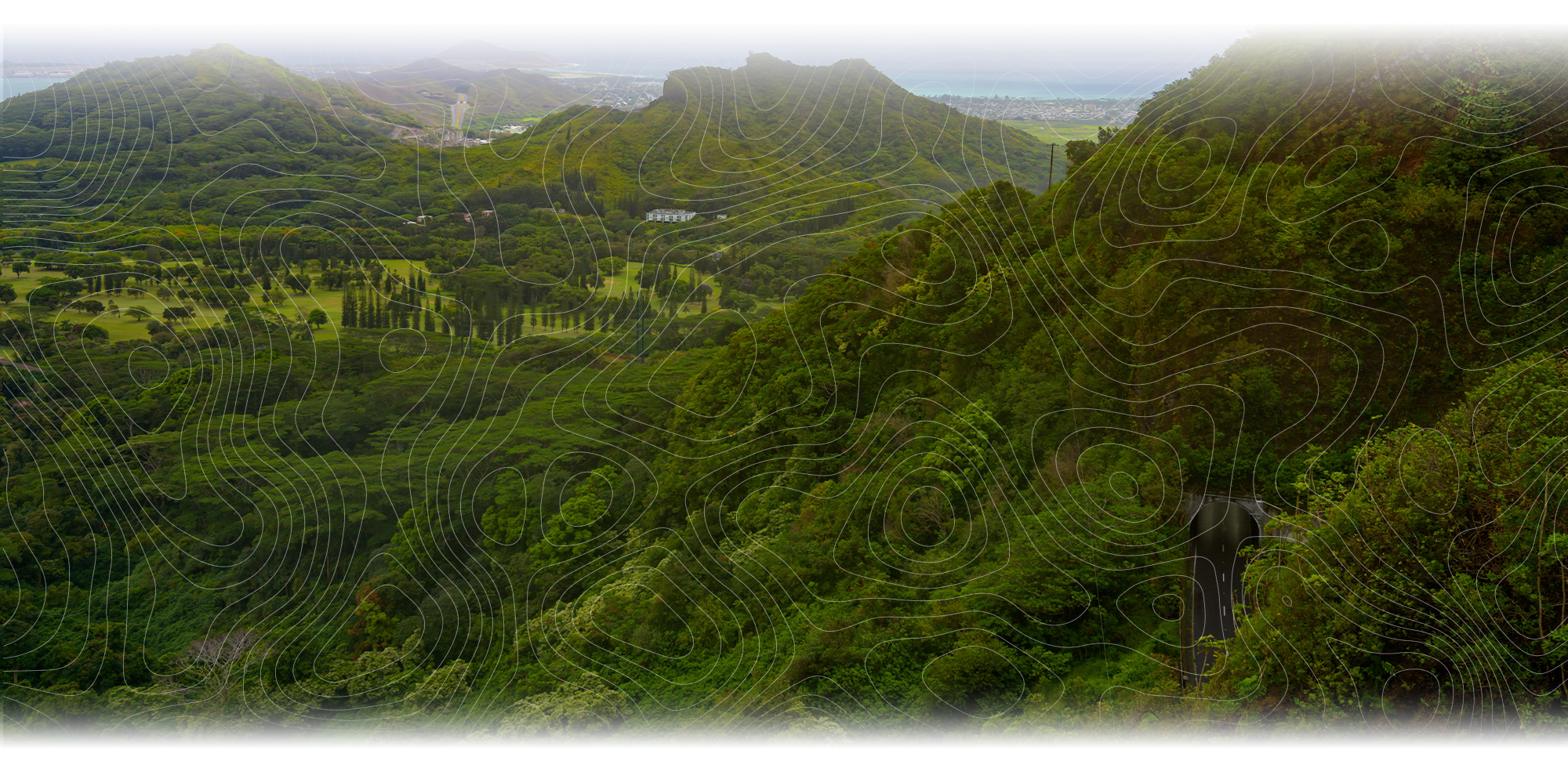 hawaii jungle view with topographic map overlay