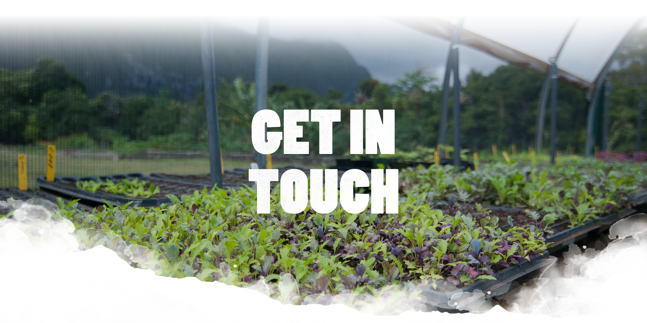 makana hawaii garden with text overlay get in touch