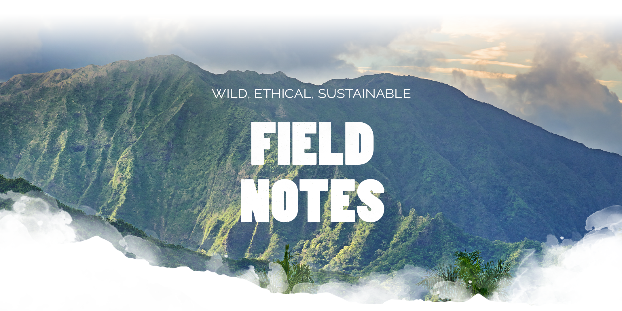 hawaii mountain with text overlay wild, ethical, sustainable field notes