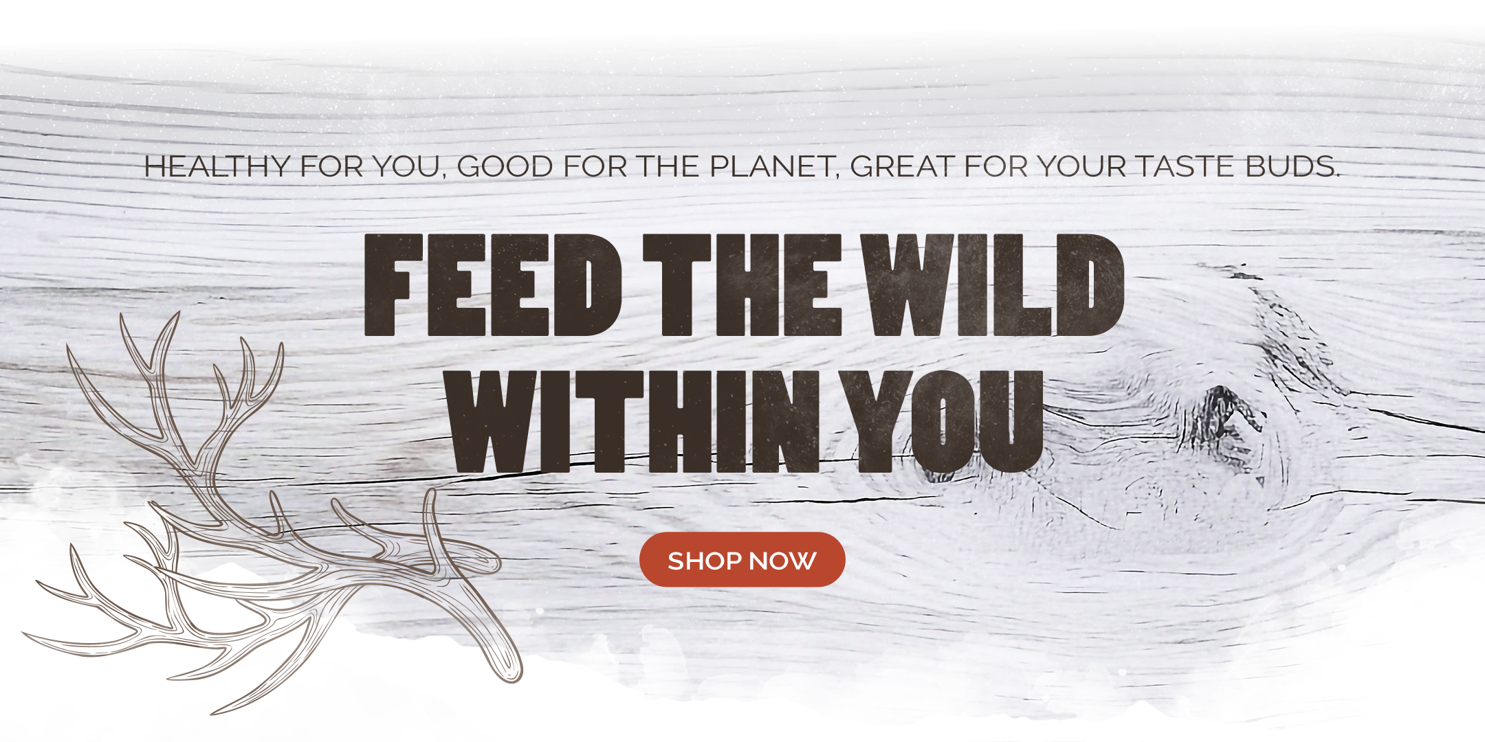 Makana header white wood antelers with text feed the wild within you with shop now button