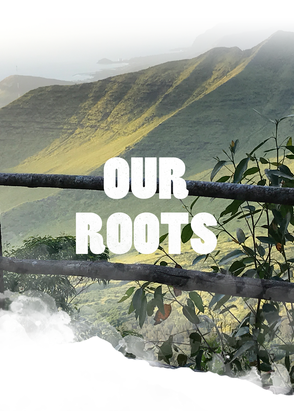 makana wild header hawaii mountain with text our roots