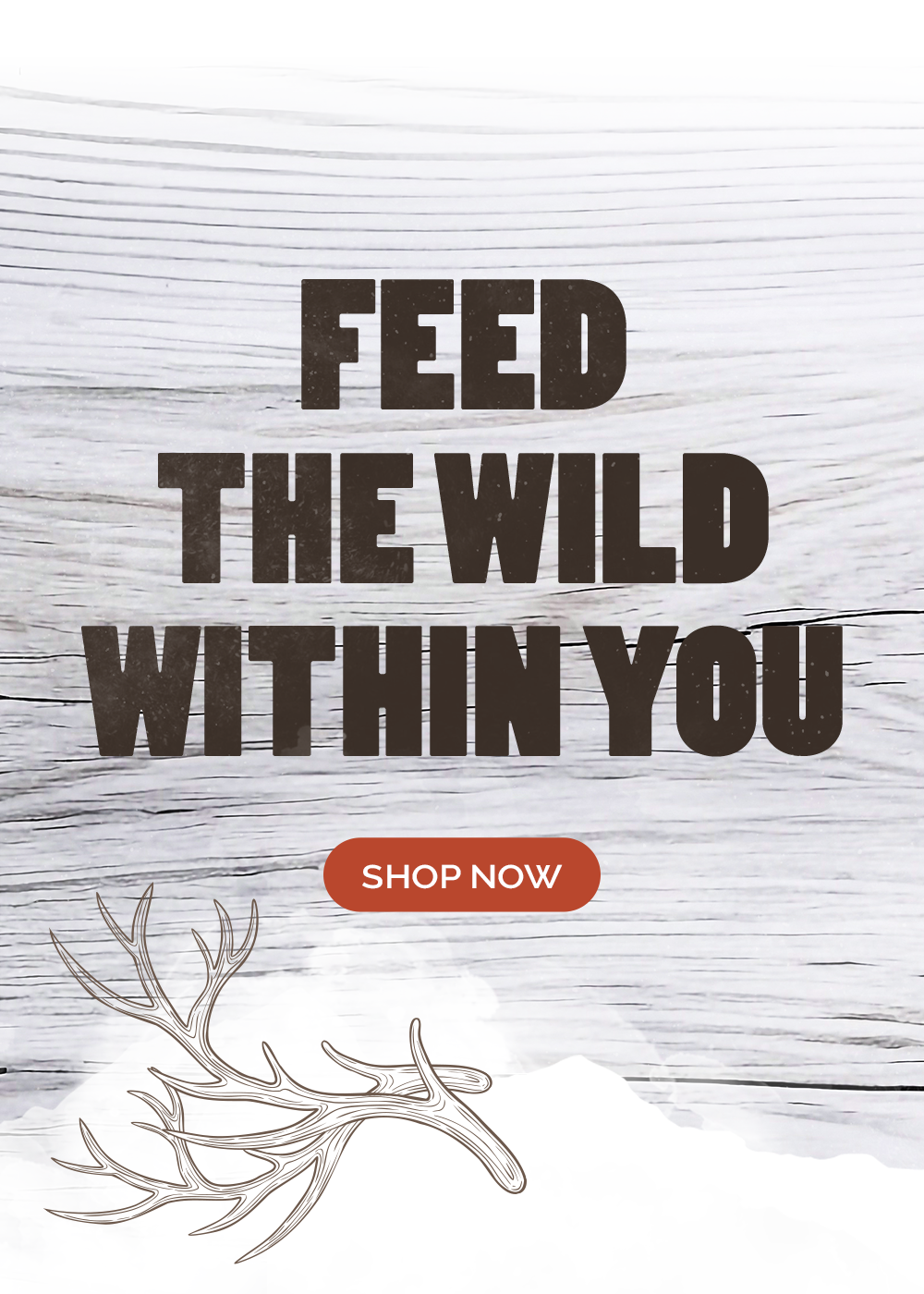Makana header white wood antlers with text feed the wild within you and orange shop now button