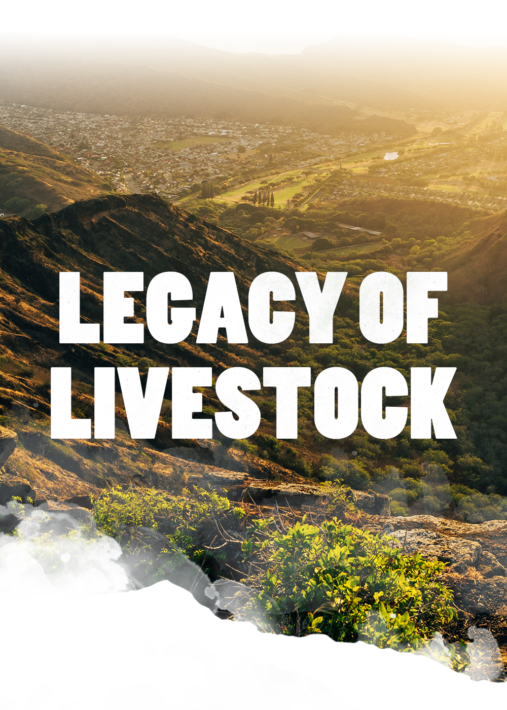 hawaii view with text overlay legacy of livestock