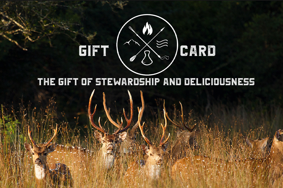 gift card makana wild